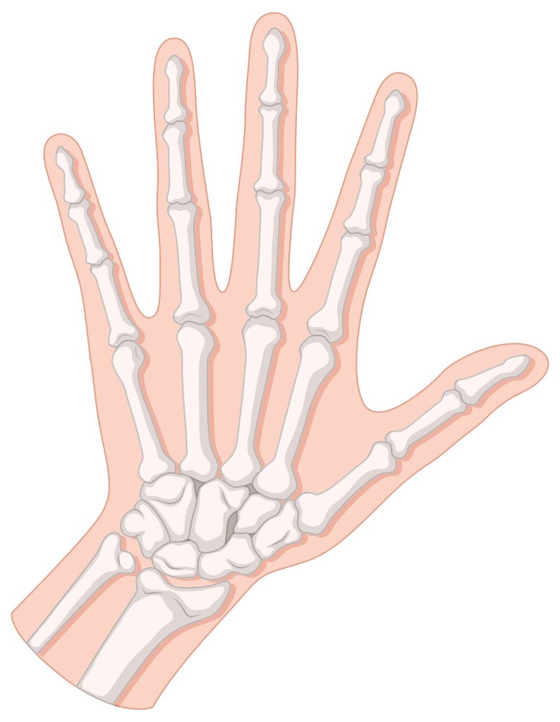 hand surgery guide